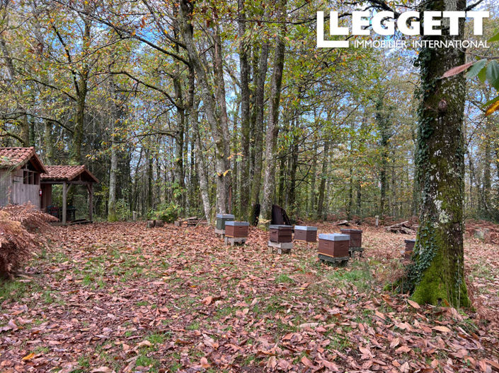 Image No.4-8 Bed House for sale