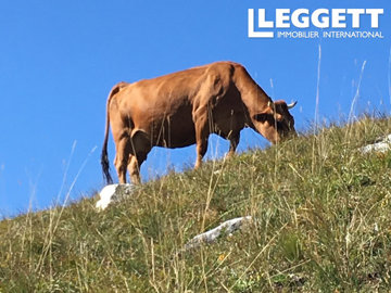 ahr0chm6ly9jzg4uagvzdglhlmltbw8vaw1hz2uvvevom