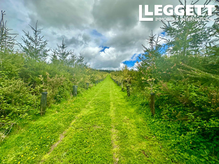 Image No.2-Land for sale