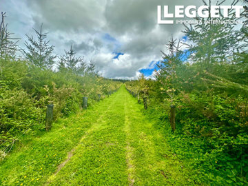 ahr0chm6ly9jzg4uagvzdglhlmltbw8vaw1hz2uvvevom