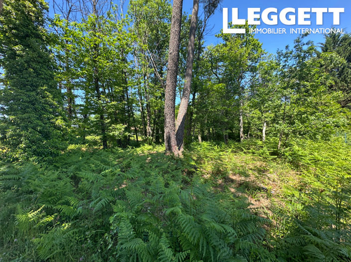 Image No.2-Terre à vendre à Chancelade