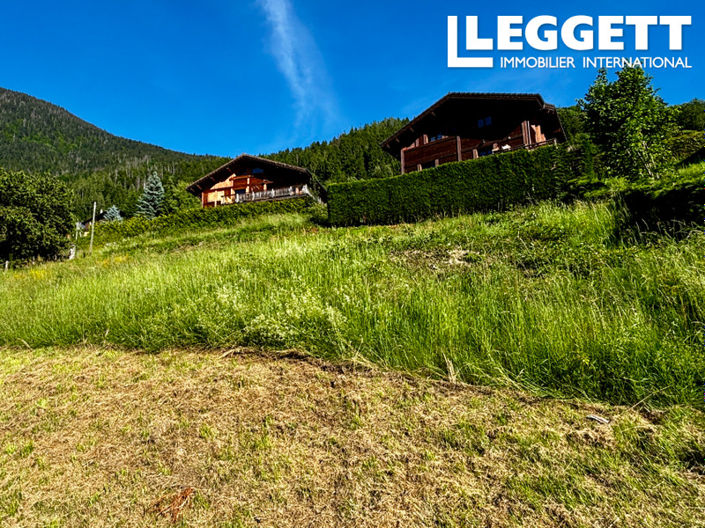 Image No.2-Terre à vendre à Passy