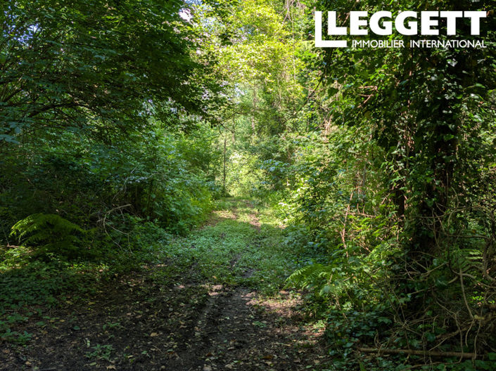 Image No.7-Land for sale