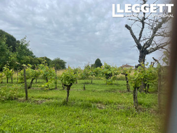 ahr0chm6ly9jzg4uagvzdglhlmltbw8vaw1hz2uvvevom