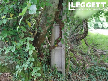 ahr0chm6ly9jzg4uagvzdglhlmltbw8vaw1hz2uvvevom