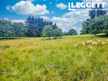 ahr0chm6ly9jzg4uagvzdglhlmltbw8vaw1hz2uvvevom