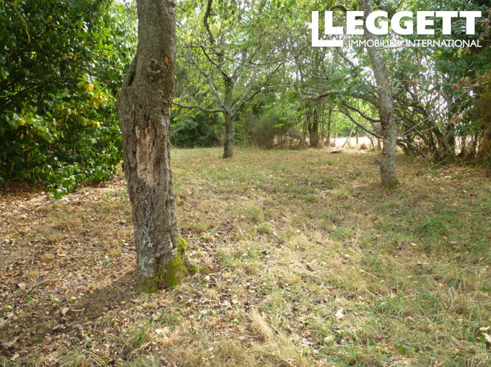 Image No.3-4 Bed House for sale