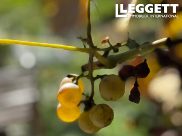 ahr0chm6ly9jzg4uagvzdglhlmltbw8vaw1hz2uvvevom