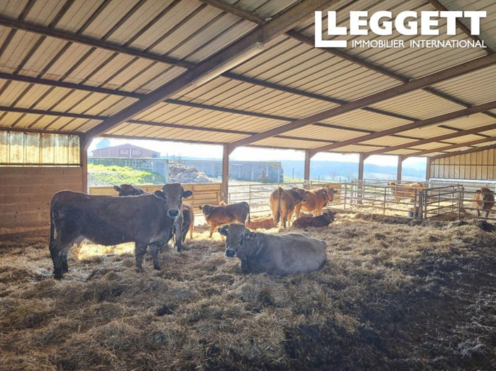 Image No.7-3 Bed Commercial for sale