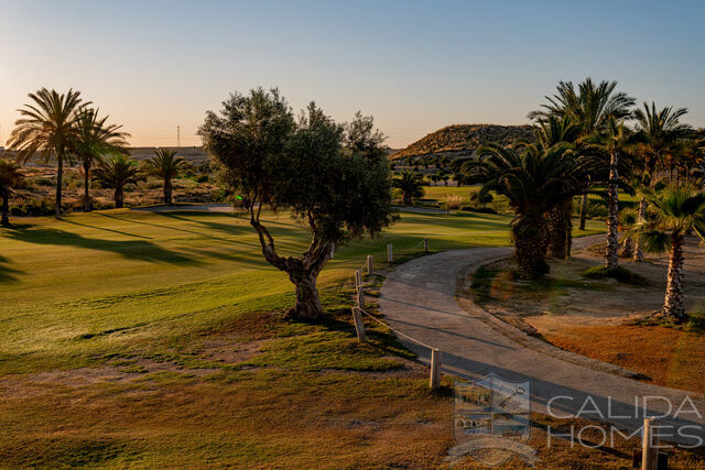 Image No.17-Propriété de 3 chambres à vendre à Vera