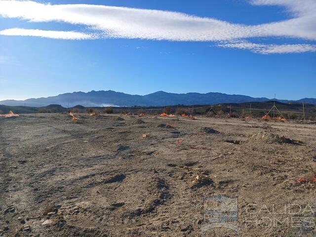 Image No.4-Propriété de 3 chambres à vendre à Vera