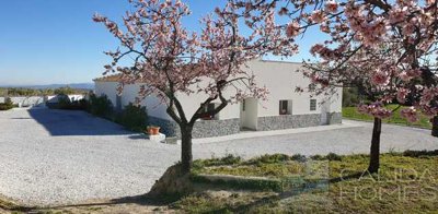 casa-blossom--resale-villa-for-sale-in-oria-4