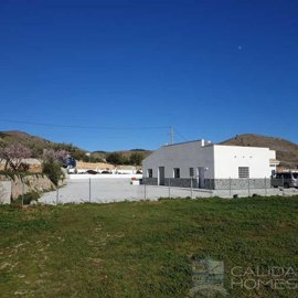 casa-blossom--resale-villa-for-sale-in-oria-9
