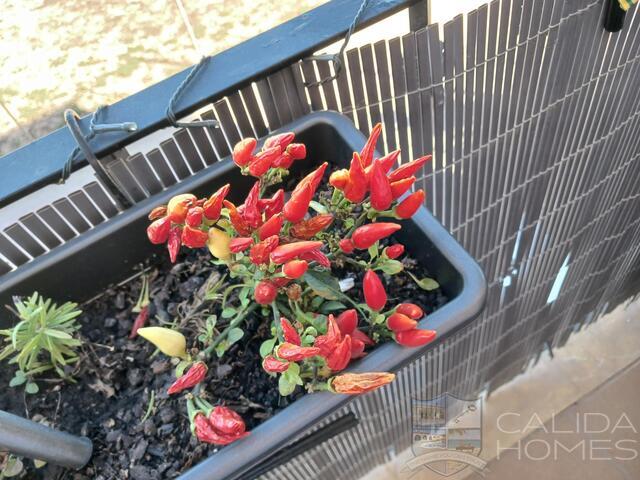 Image No.7-2 Bed Apartment for sale