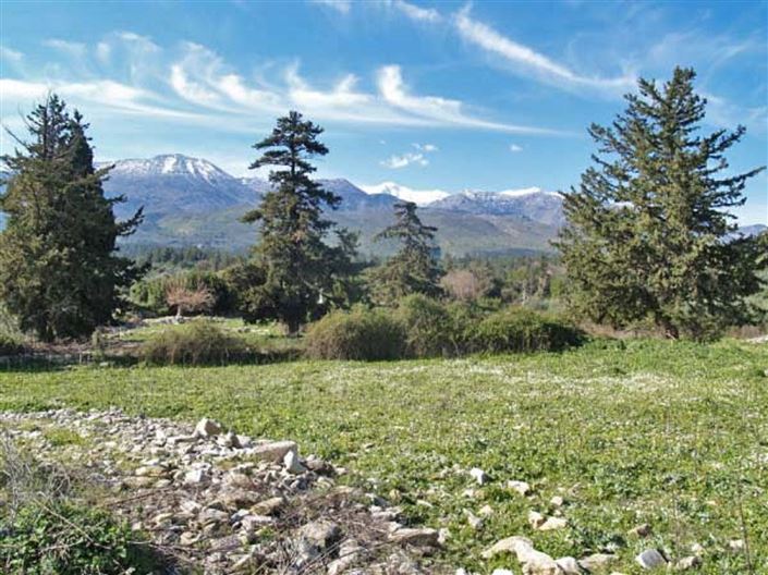 Image No.3-Plot for sale