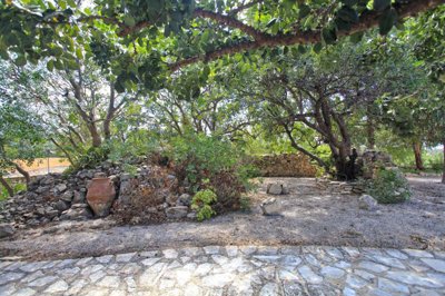 15garden2-1748943849