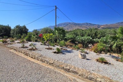 14frontgarden-1752223213