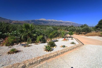 13gardenandview-1752223214