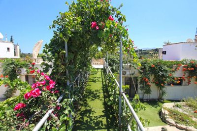 17walkwaytoffterrace-1755079976