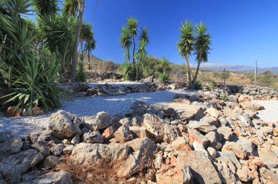 13garden3-1755593435