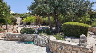 13garden1-1761563946