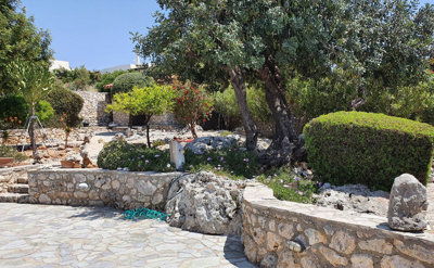 15garden3-1761563947