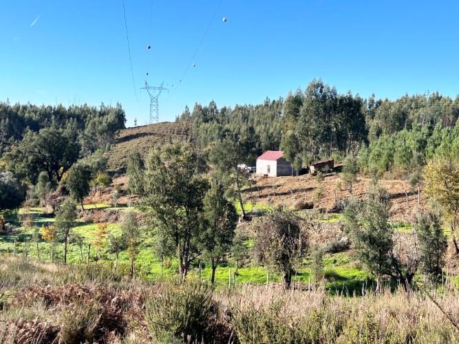 Image No.3-Land for sale