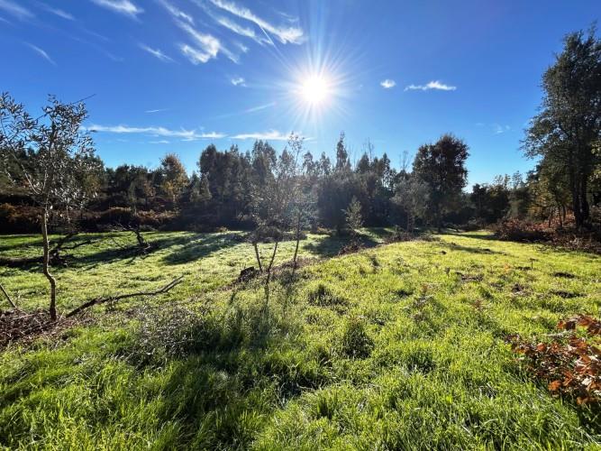 Image No.4-Land for sale