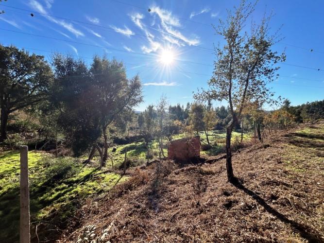 Image No.7-Land for sale