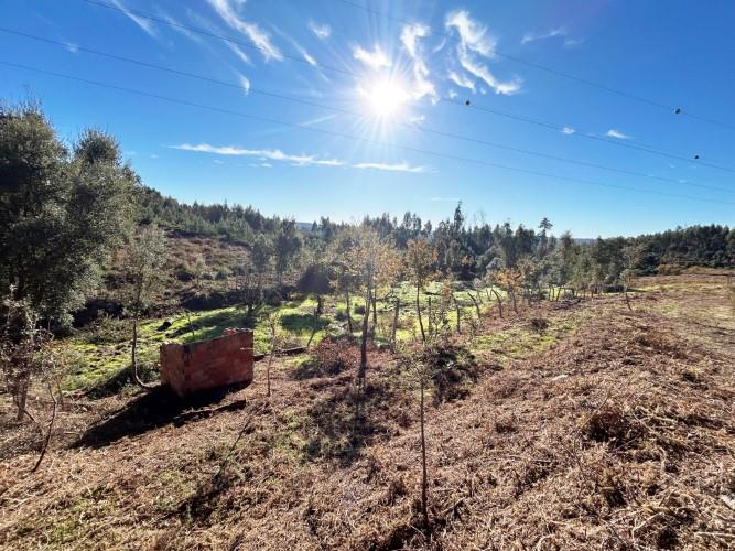 Image No.13-Land for sale