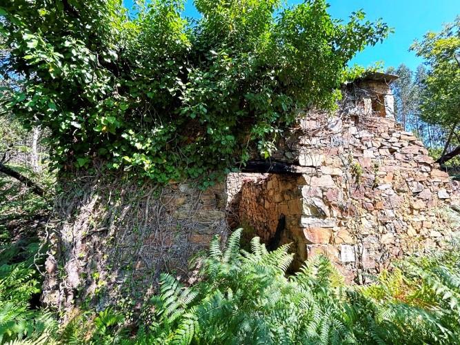 Image No.6-Terre à vendre à Góis