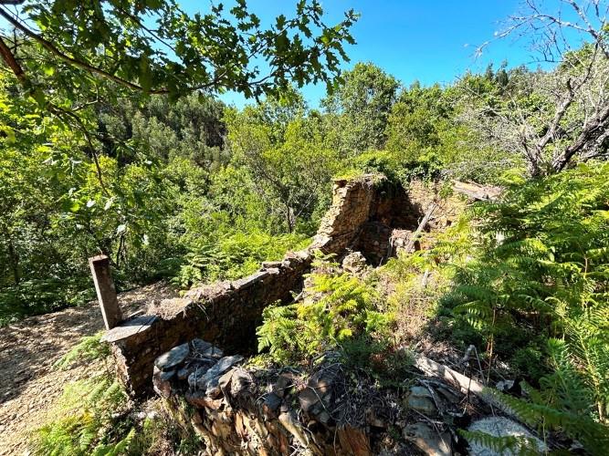 Image No.16-Terre à vendre à Góis