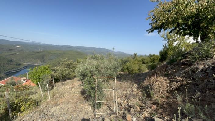 Image No.6-Plot for sale