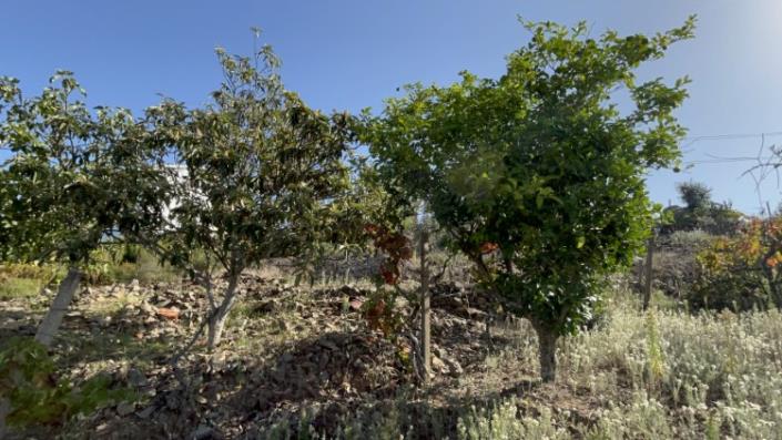 Image No.9-Plot for sale