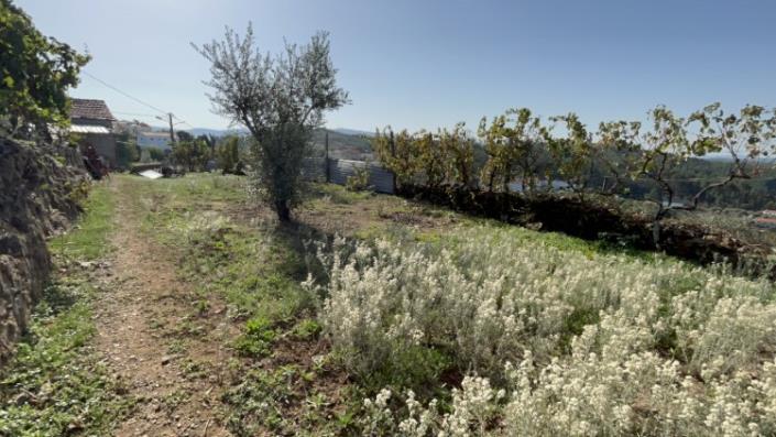 Image No.14-Plot for sale