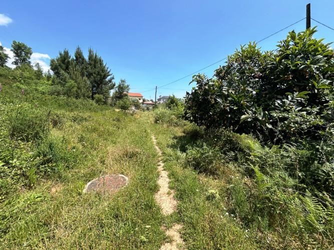 Image No.8-Land for sale