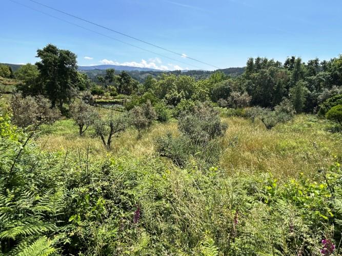 Image No.9-Land for sale