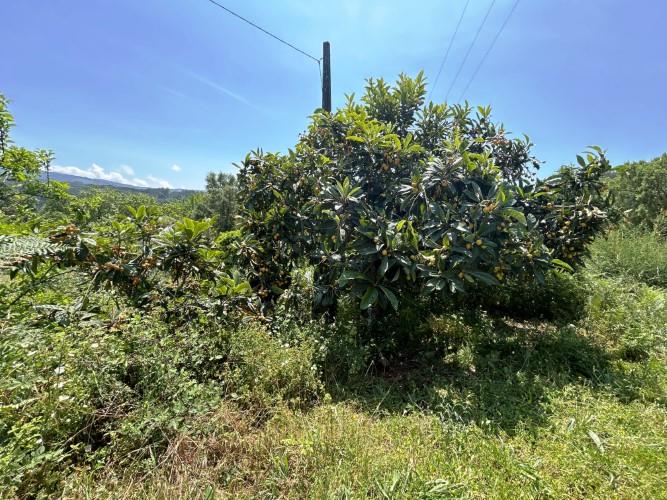 Image No.11-Land for sale