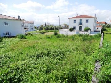 5---1316--NEW---Custom-