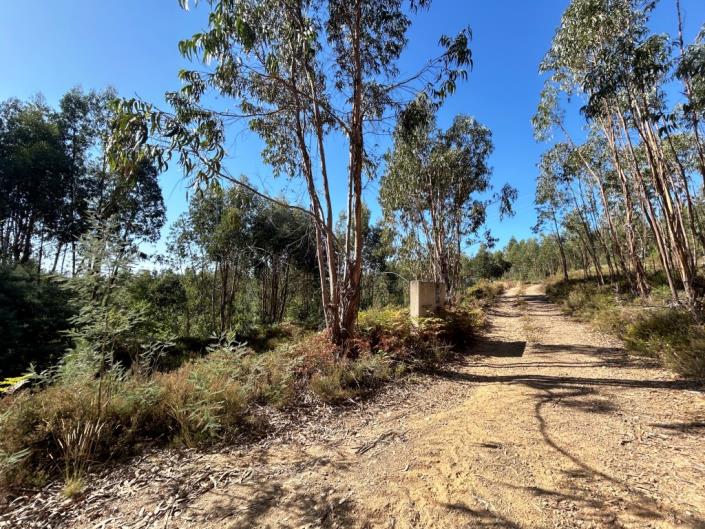 Image No.3-Land for sale