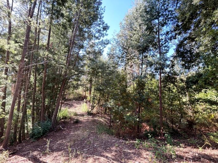 Image No.6-Land for sale