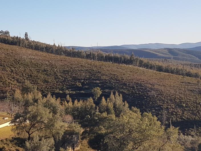 Image No.5-3 Bed Country Property for sale