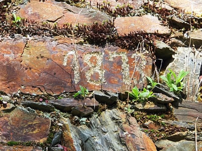 Image No.3-Plot for sale