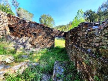 4---995--NEW---Custom-