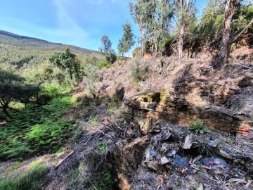 6---995--NEW---Custom-