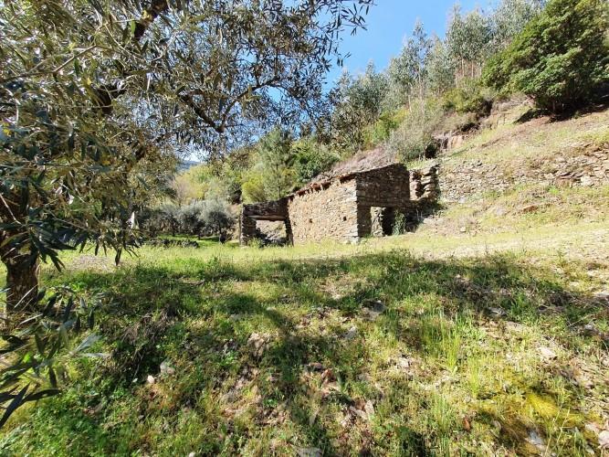 Image No.9-Plot for sale