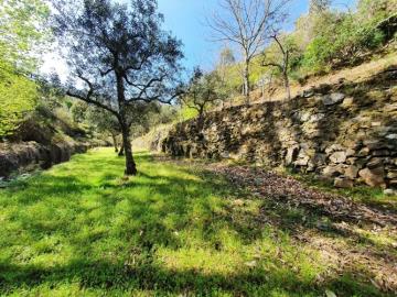 9---995--NEW---Custom-