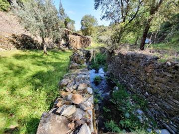 11---995--NEW---Custom-