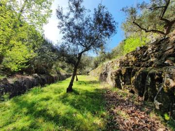 10---995--NEW---Custom-