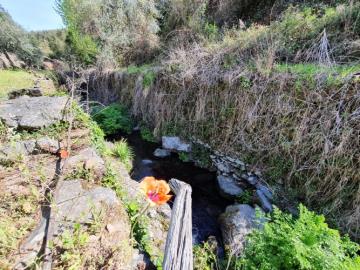 14---995--NEW---Custom-